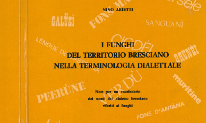MNB_card_2