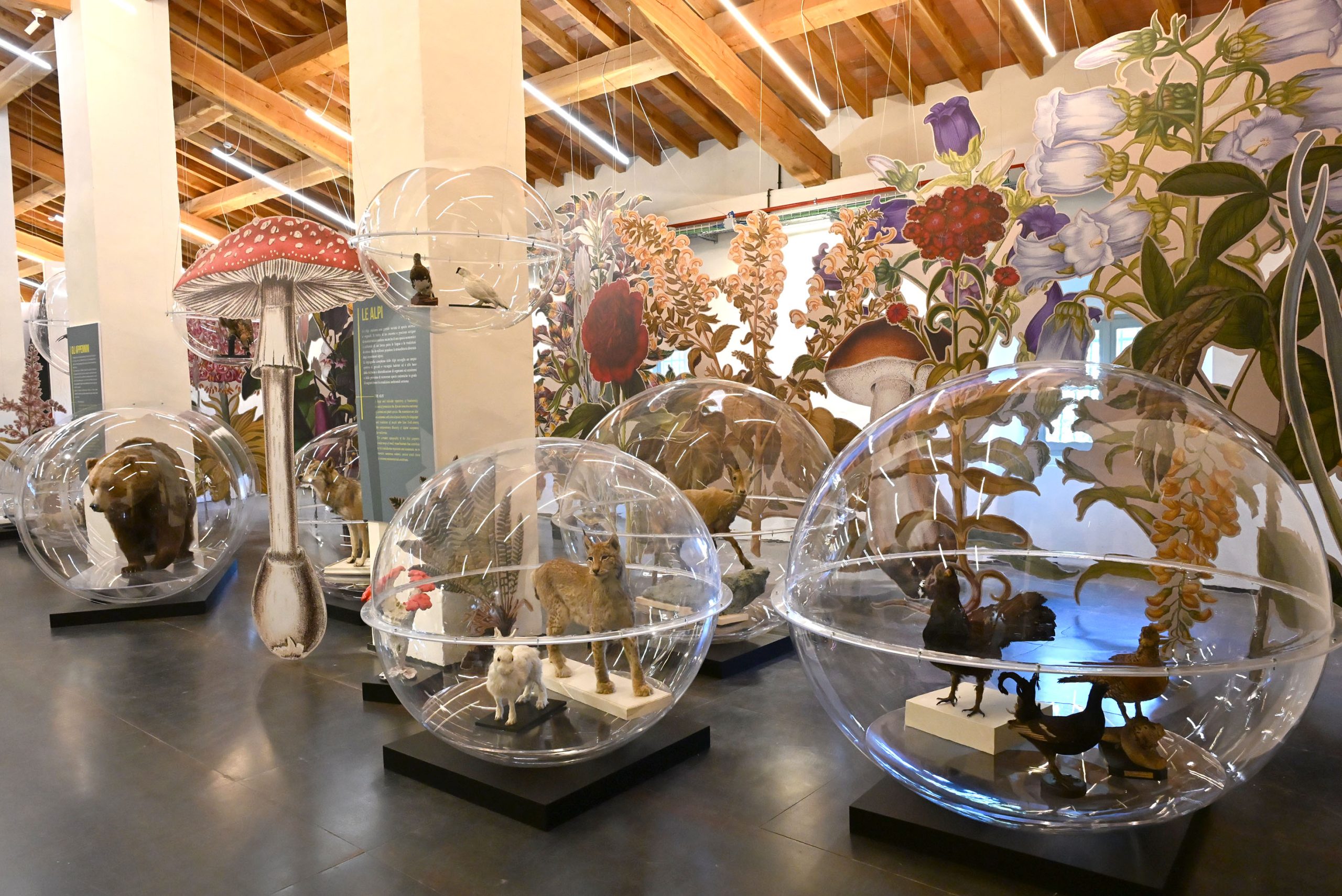 museo delle scienze brescia
