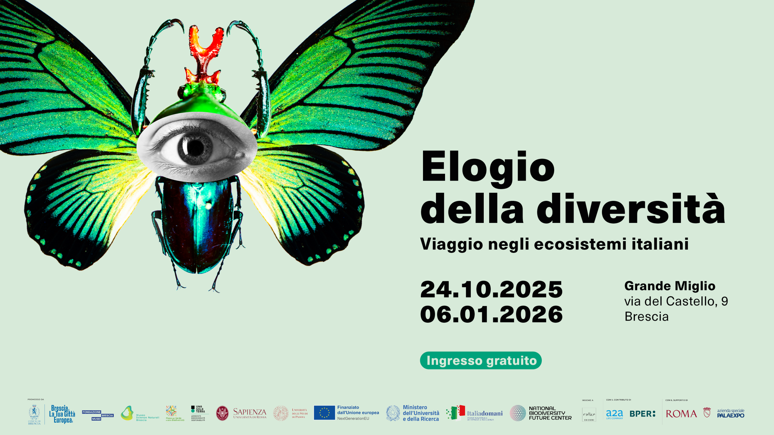 TAPPO_elogio diversità