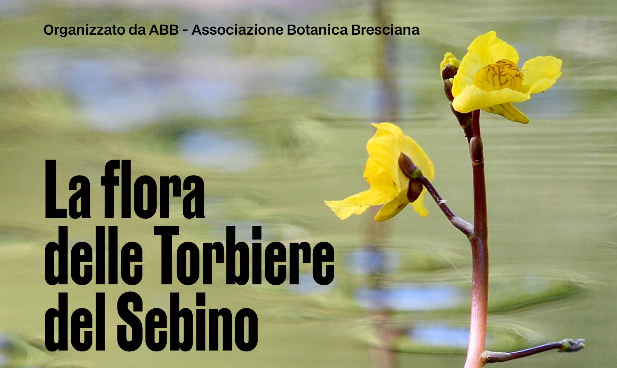 DEF_Evento 21 aprile