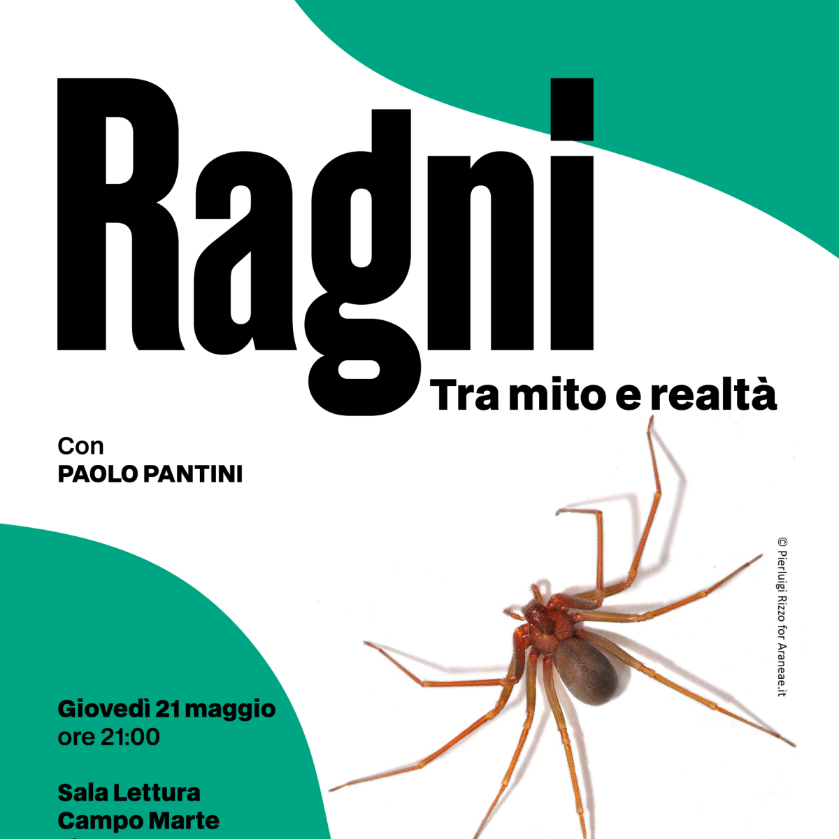Paolo-Pantini_21maggio2026-scaled-1200x0