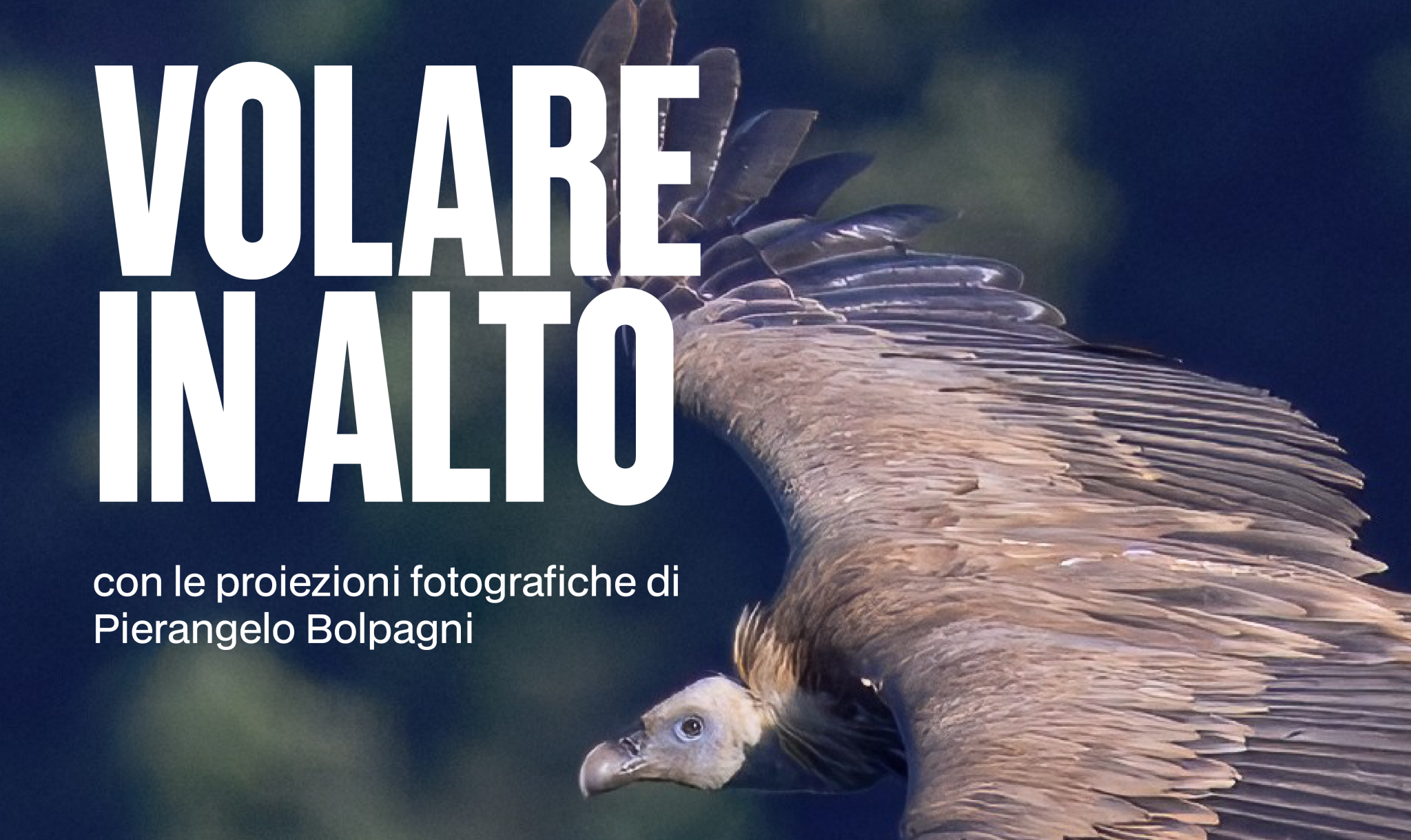 Evento 24 settembre volare in alto
